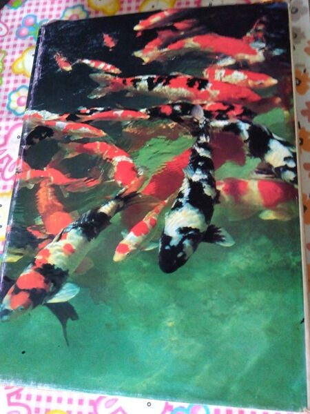 錦鯉の図鑑 昭和47年の物