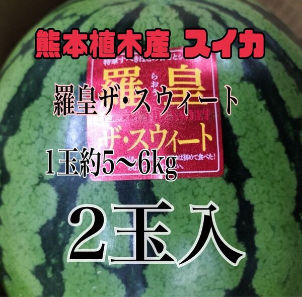 熊本植木産 スイカ 羅皇ザ・スウィート1玉約5~6kg 家庭用(2玉入)