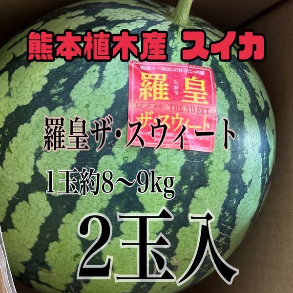 熊本植木産 スイカ 羅皇ザ・スウィート1玉約8~9kg 家庭用(2玉入)