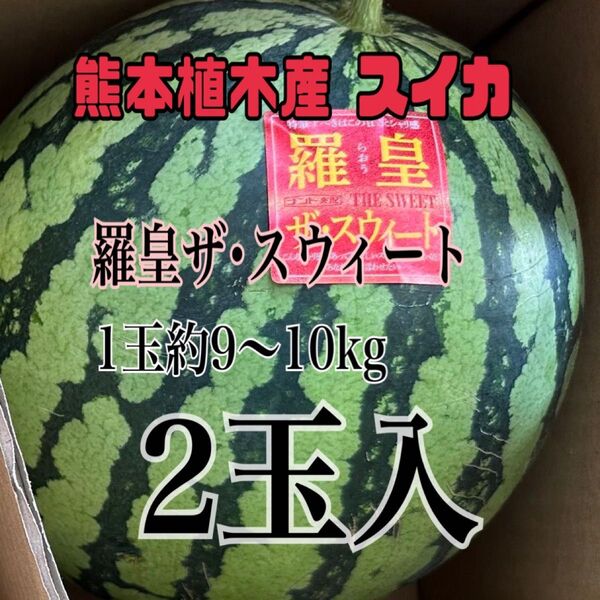 熊本植木産 スイカ 羅皇ザ・スウィート1玉約9~10kg 家庭用(2玉入)