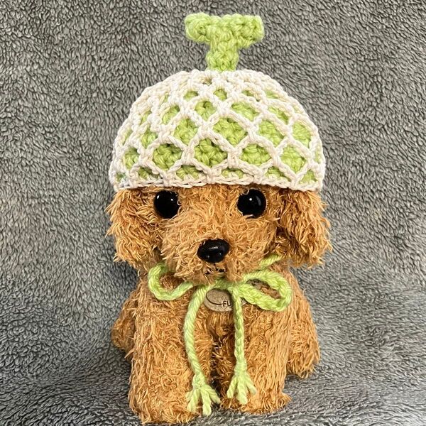 小型犬用帽子 猫用帽子 メロンの帽子 ハンドメイド