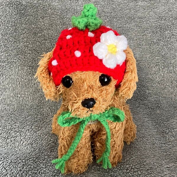 あみぐるみ 小型犬用帽子 いちご帽子 ハンドメイド