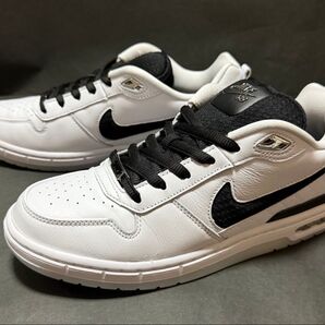 NIKE SB P-ROD PAUL RODRIGUEZ ポールロドリゲス supreme 堀米 DUNK SB