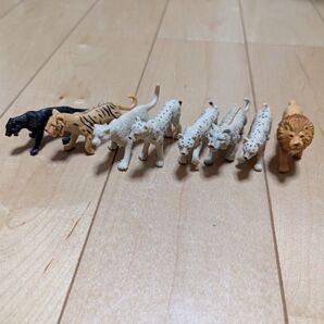 Safari Ltd フィギュア 猫科 8体セット