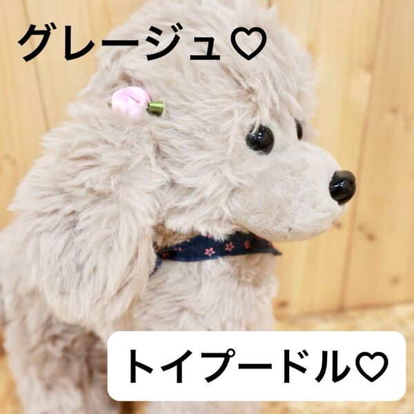 【グレージュ】ぬいぐるみ トイプードル ドッグ トルソー ポーズ変更可能 可愛い ふわふわ プレゼント 柔らかい 寄り添う