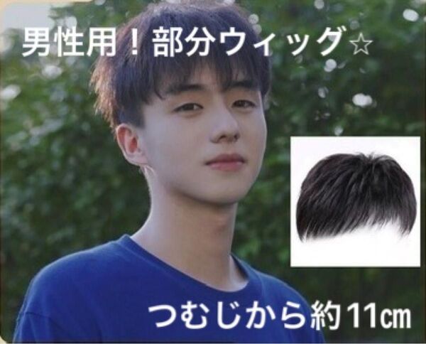 男性用 ツーブロック ウィッグ 黒 髪 韓国男子 コスプレ 医療用 かつら イメチェン 部分ウィッグ 前髪ウィッグ 通気性 伸縮性
