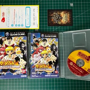 カッシュベル!!友情タッグバトルFullPower ゲームキューブソフト GC