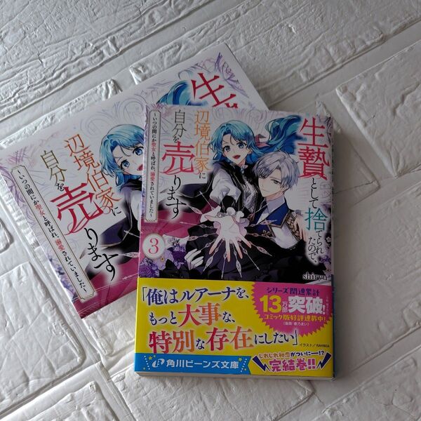 生贄として捨てられたので、辺境伯家に自分を売ります いつの間にか聖女と呼ばれ、溺愛されていました 3