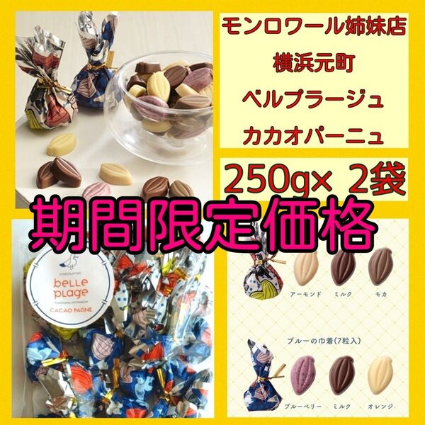 n■期間限定価格■たっぷり250g×2袋■ベルプラージュカカオパーニュ■モンロワール姉妹店リーフメモリー■チョコレートギフトシェア