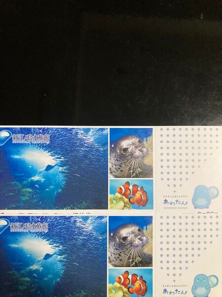 新江ノ島水族館 入館招待券2枚組 6月末有効