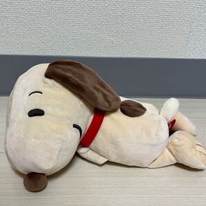匿名配送 スヌーピー PEANUTS SNOOPY せらぴっと スペシャル ぬいぐるみ