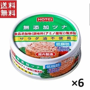 ホテイ 国内製造ツナ 備蓄品 魚肉缶 無添加 水煮 6缶パック ホテイフーズ
