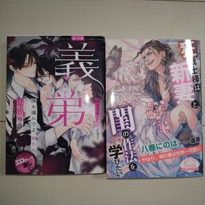 新刊 TL 小説「義弟 壊れるほどに愛されて」「狂戦士様は新妻と閨の作法を学びたい」