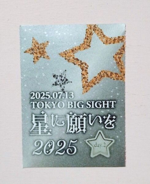 7/13 星に願いを -day2- 2025 1枚 サークルチケット サークルPASS 1枚 赤ブー