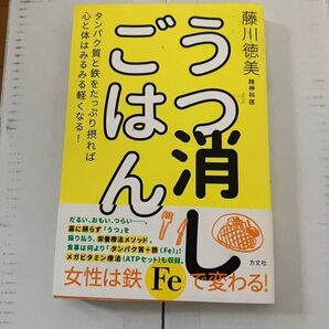 うつ消しご飯 藤川徳美