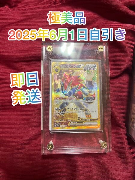 Nのゾロアークエラー極美品2025年6月1日自引き ポケモンカードゲーム ポケモンカード