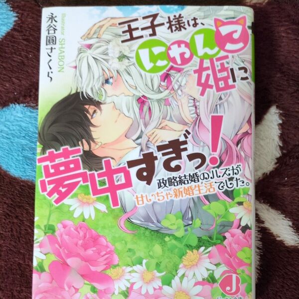 王子様は、にゃんこ姫に夢中すぎっ!政略結婚のハズが甘いちゃ新婚生活でした。