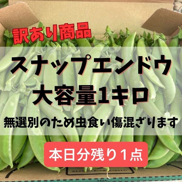ラスト1点 訳あり スナップエンドウ スナックエンドウ