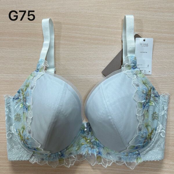 ワコール レシアージュ G75 下着