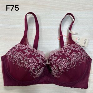 トリンプ アモスタイル チャーミングラマー F75 下着