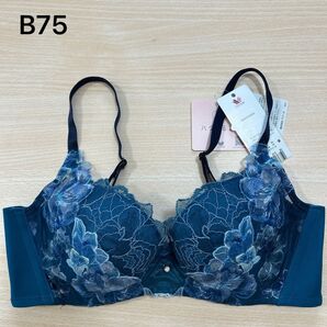 ワコール ハグするブラ B75 下着