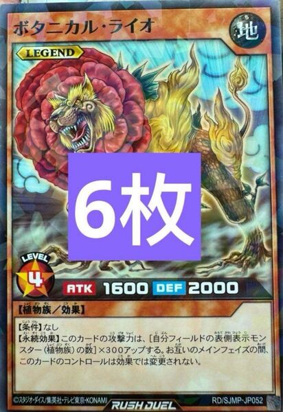 ボタニカルライオ 遊戯王 ラッシュ 最強ジャンプ プロモ 6枚