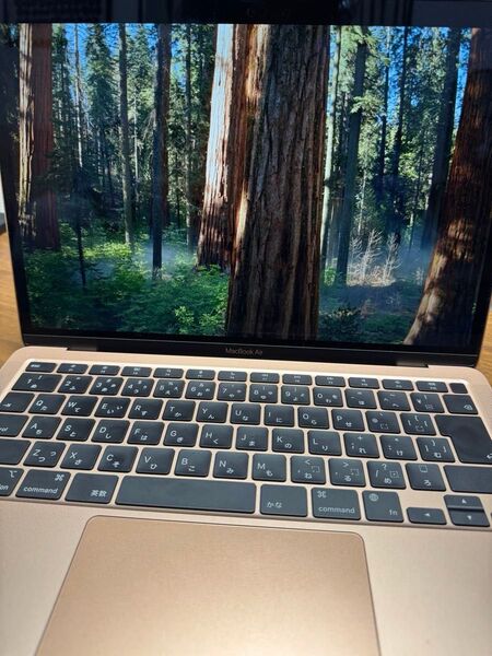 【バッテリー容量100%】MacBook Air M1 メモリ16GB ストレージ1TB 充放電回数15回 ゴールド