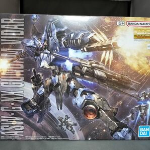 MG ガンダムヴィダール