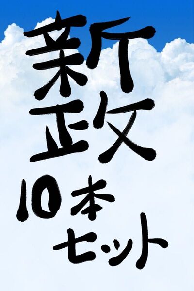 新政10本セット
