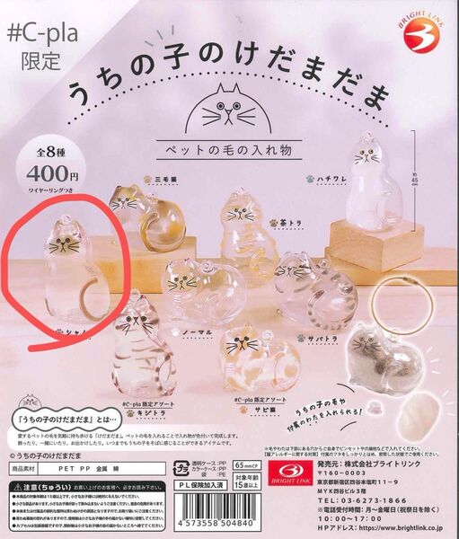 うちの子のけだまだま シャム