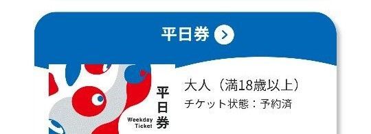 大人一日券 EXPO2025 入場チケット 大阪 関西 万博
