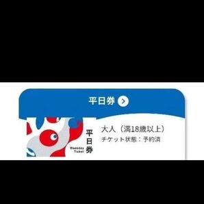 平日券 大阪 関西万博 EXPO 入場チケット