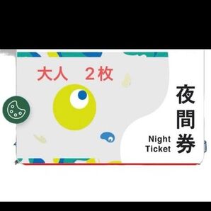 入場チケット 大阪 関西万博 EXPO リワード可 夜間券 大阪万博