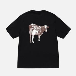 STUSSY(ステューシー) STUSSY GRASSFED TEE White -black Tシャツ 半袖 メンズ
