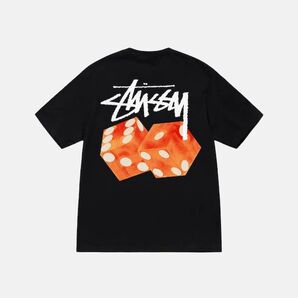 STUSSY(ステューシー) カットソー 半袖 STUSSY メンズ STUSSY DICED OUT TEE - Tシャツ