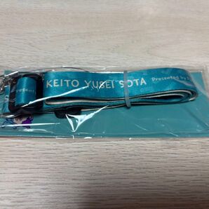 BTTM5 タンバリンストラップ