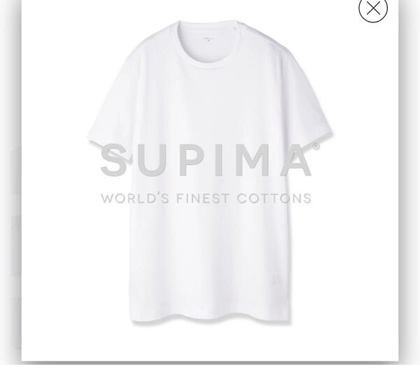 新品未使用 arcodioアルコディオ スーピマコットンジャージーTシャツ