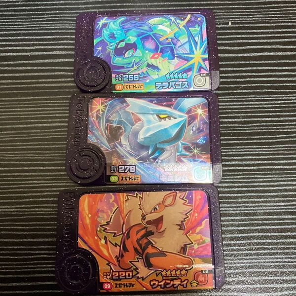 ポケモンフレンダ スーパートレジャー テラパゴス キュレム ウィンディ