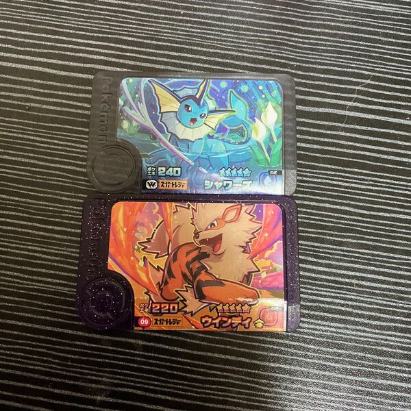 ポケモンフレンダ スーパートレジャー ワンダーピック シャワーズ ウインディ