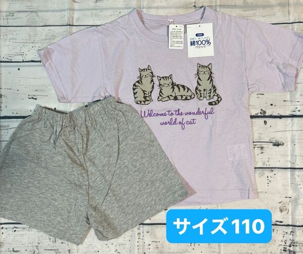 コットン100% 半袖ルームウェア サイズ110 パジャマ半袖 Tシャツ 半ズボン 短パン 女の子 キッズネコ 猫