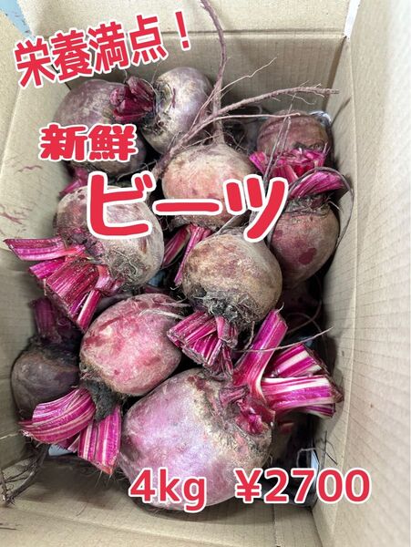新鮮! 朝採りビーツ 4kg