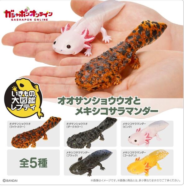 いきもの大図鑑レプティ オオサンショウウオとメキシコサラマンダー 全5種類 袋未開封の新品 カプセルトイ ガチャ 可動式フィギュア