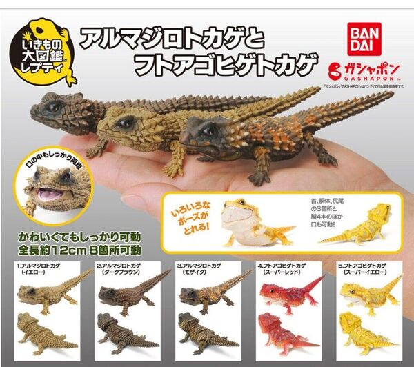 いきもの大図鑑レプティ アルマジロトカゲとフトアゴヒゲトカゲ 全5種類 袋未開封の新品 爬虫類フィギュア 可動します バンダイ