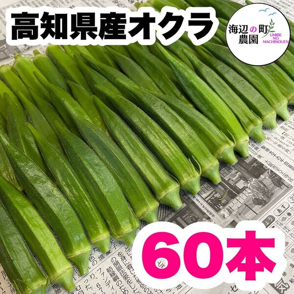 夏野菜【高知県産オクラ】A品&B品 60本 おくら 野菜 産地直送!M