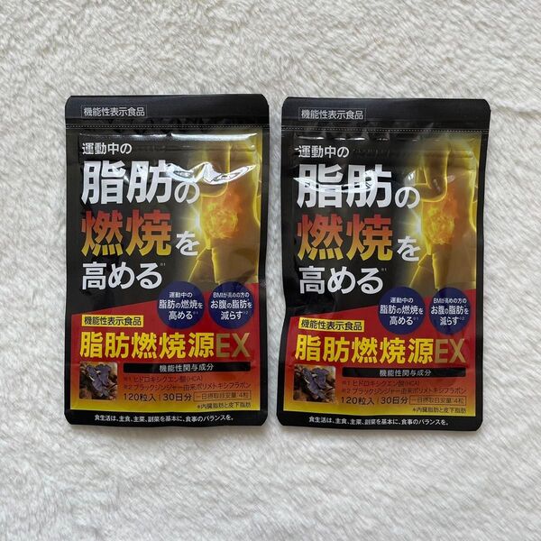 脂肪燃焼源 EX 120粒入(30日分)2袋セット