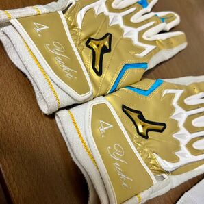 ミズノプロ オーダーバッティング手袋 パワーアーク 24センチ