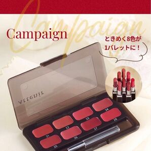 Attenir アテニア カード ルージュ 8色 Make up Book付き