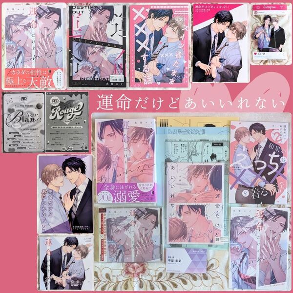 運命だけどあいいれない 1~2巻セット 永条エイ アニメイト コミコミ ホーリンラブ とらのあな 小冊子 ドラマCD クリアカード