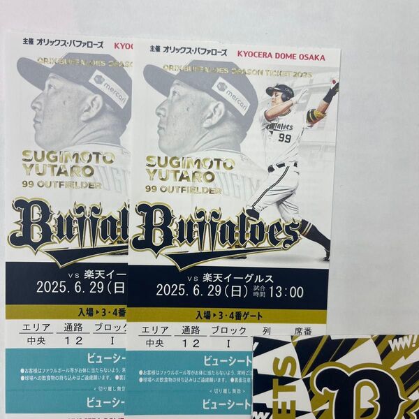 オリックス 対 楽天 6/29(日) ビューシート ペアチケット