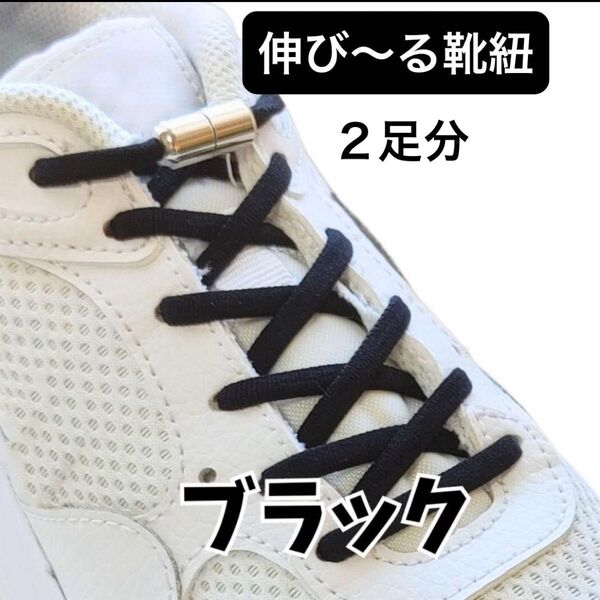 結ばない シューレース 靴ひも カプセルタイプ 伸びる靴紐 ゴム 2本セット ほどけない 脱ぎ履き 楽々 ブラック 大人 子供